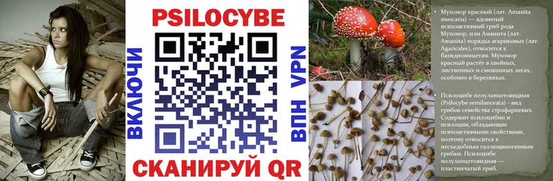 Псилоцибиновые грибы Magic Shrooms Нижняя Салда